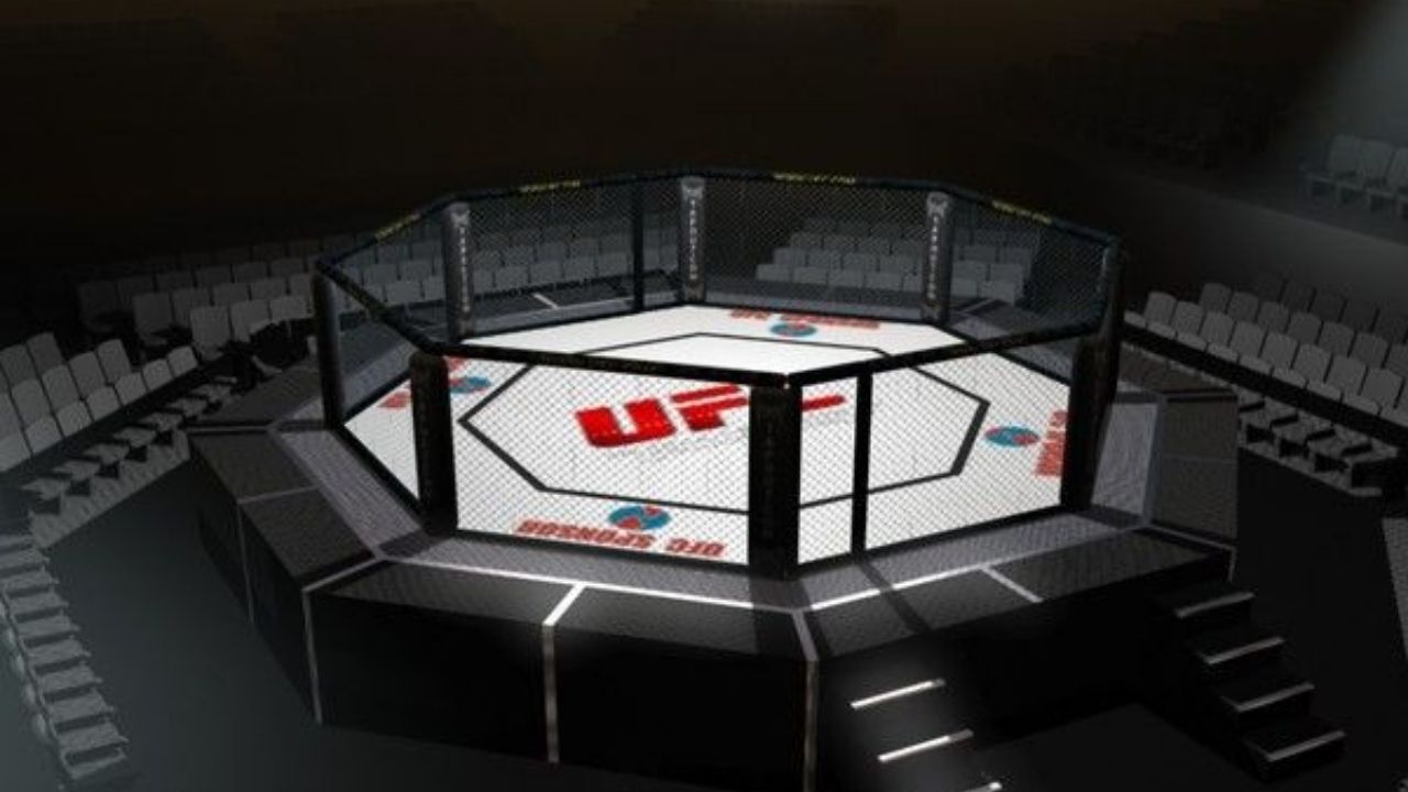 Tune in to mma ppv live and Enjoy the Fights post thumbnail image