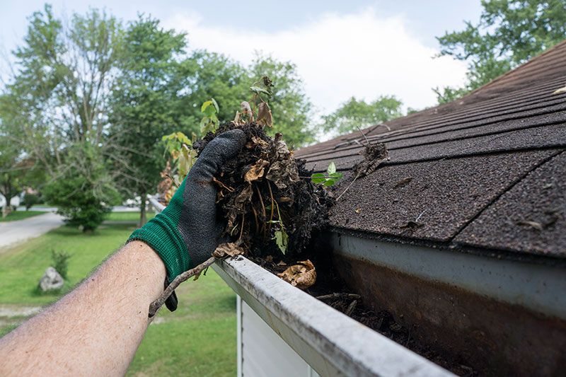 By means of eaves cleaning assistance, choose the right 1 post thumbnail image