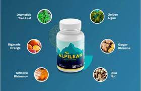 Get the Most Out of Your Workouts with Alpilean post thumbnail image