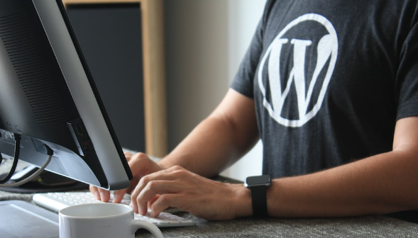 Capitalizing on Your Profits as a WordPress Consultant post thumbnail image
