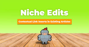 Niche Edit Backlinks and SERP Rankings: What to Expect post thumbnail image