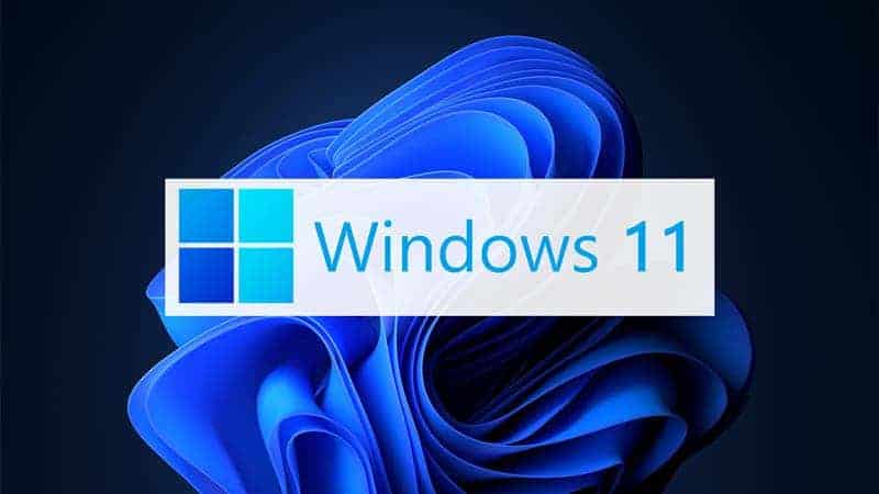 Windows 11 Professional Upgrade: Enhance Your Computing Experience post thumbnail image