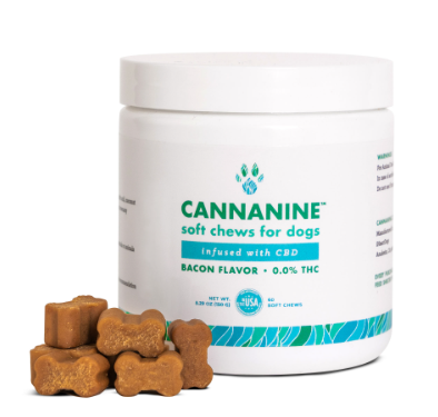 Savor the Wellness: CBD Gummies for Canine Bliss post thumbnail image