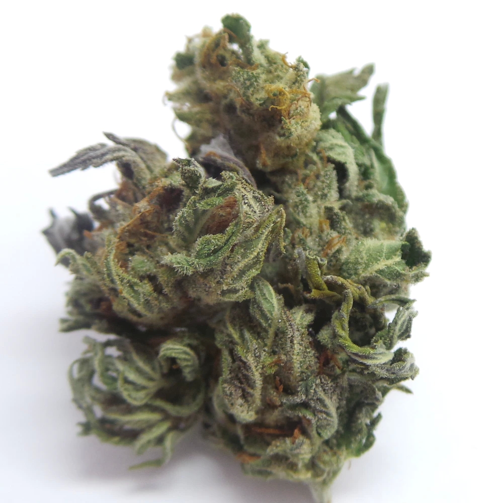 Online Dispensary Delights: Buy Weed Canada post thumbnail image