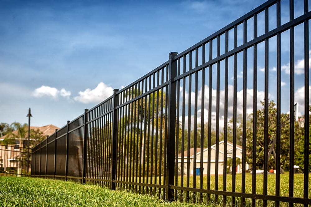 Guardrails of Civilization: The Role of Fences in Society post thumbnail image